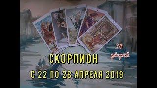 СКОРПИОН-с 22 по 28 апреля таро прогноз.Расклад таро на колоде 78 дверей.