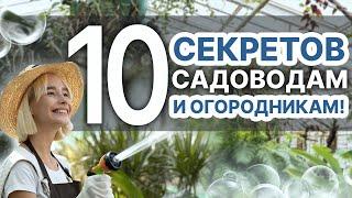 Перекись водорода для растений - 10 советов по уходу за садом!