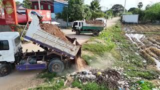 Full Project Video.!! Dump Truck 5T And D31PX KOMATSU Dozer filling Flooded land Next to the road