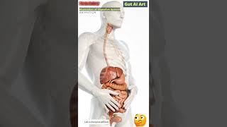 Digestive System Animation | Gut AI Art | 239