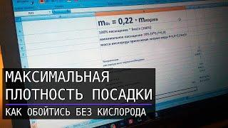 Плотность посадки осетра в УЗВ без оксигенации