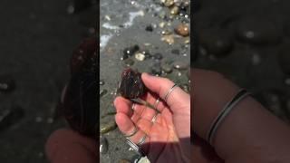 This Artist Makes THOUSANDS Turning BEACH ROCKS into Jewelry! 