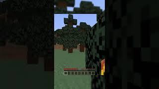 Minecraft ta tahta olmasaydı ne olurdu ?