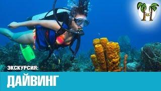 ДАЙВИНГ НА ПХУКЕТЕ, обучение дайвинг | DIVING AT PHUKET