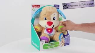 Ученый щенок Fisher Price с технологией Smart Stages CJV61 Обзор