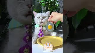 Longyin Poached Egg Is So Cute! (ASMR) | Chef Cat Cooking | Creative Food Idea #tiktok #Shorts