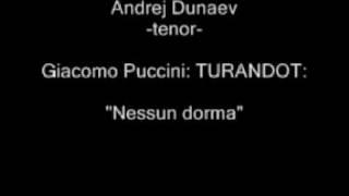 Andrej Dunaev "Nessun dorma"