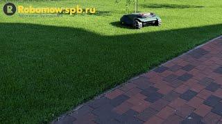 Робот газонокосилка Robomow RS625 Pro. Как меняется газон при участии робота? Первое впечатление?