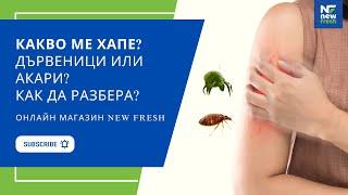 Какво ме хапе? Дървеници или акари? Как да разбера?