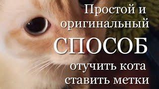 Кот ставит метки. Как я отучила Марсика ставить метки в квартире. Простой и оригинальный способ