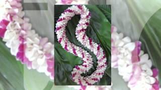 Get Tropical Hawaiian Flowers from Hana Flowers!