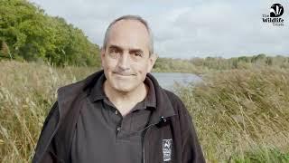 The Lowland Peat of Somerset