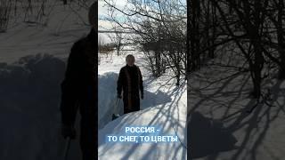 Россия - то снег, то цветы