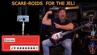 Friedman JEL 20 & Mr Scary Mod #friedmanamps