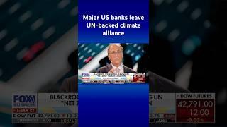 BlackRock eyes leaving UN ‘net-zero’ climate coalition #shorts