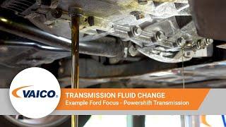 Transmission fluid change on Powershift of a Ford Focus [EXPERT KITS+ V25-0796]