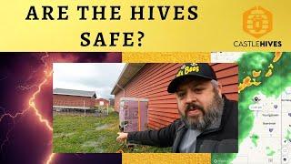 #beekeeping Did the Hives Survive the Storms?
