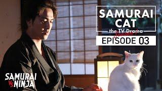 Samurai Cat Full Episode 3 | SAMURAI VS NINJA | English Sub