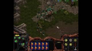 Starcraft Beginners Tutorial: Zerg v Protoss (Basic Opening & Concepts)