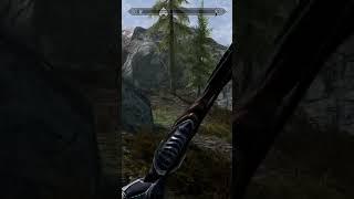 I have terrible aim in Skyrim sometimes Lol