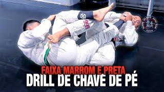 DRILL DE CHAVE DE PÉ  - FAIXA MARROM E PRETA  I ALEXANDRE OGAWA #bjj