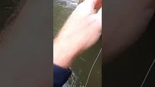 Trying a new nymph on the Savage River