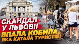 Львів гуде! Впала кобила, яка катала туристів у кареті! Продовження скандалу!