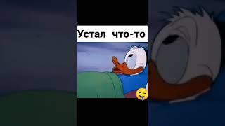 Устал Что-то | Приколы От Ежика | ТикТок #Shorts