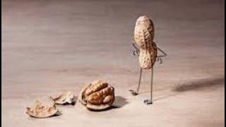  EVENING VIBES: M^G^ "NUT" TRIES SOMETHING THE 14THA TRUTH THE 15TH MSGS FROM SG'S