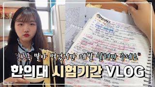 대학생 VLOG 한의대생 시험기간 브이로그 외우고 또 외워야만 살아남는데 못외웠다..️한의대 생존 공부2일차