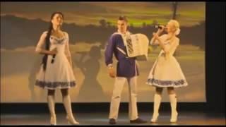 Калина красная. Калины куст