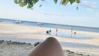 My Vacation To Bohol ,So Beautiful Panglao Bohol ,My yummy food,Hungry dog's ,so much fun and Relax