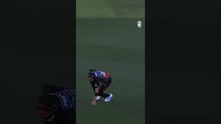 Superb Catch ‼️#viral #cricket #shorts #video #youtube