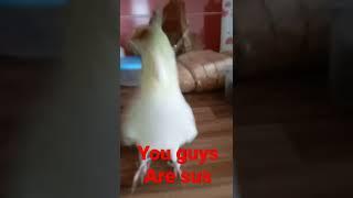 Sus Luna and Kriki