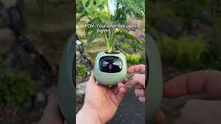 POV: Your a horrible plant parent… 🪴