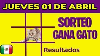 Resultados del sorteo Gana Gato del Jueves 1 de Abril de 2021