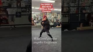 #WBO #Boxing #champion Melvin Jerusalem