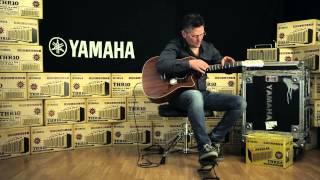 Yamaha A4K-LTD Guitar