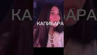 Мелстрой раздел стримершу