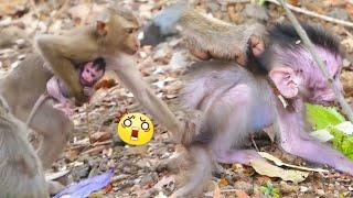 A poor baby monkey was kidnapped by bad monkey. He struggled to call his mother monkey to save him