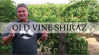 Kaesler Wines Old Vine Shiraz - Barossa Valley - South Australia