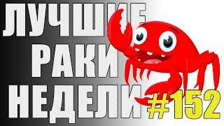 ЛРН выпуск №152. ВЗВОД ИЗ СУРРОГАТОВ И ДЫРЯВЫЙ МОСТ [Лучшие Раки Недели]