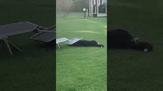 Когда полностью ушёл в себя