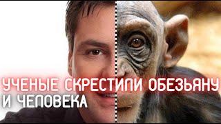 Ученые скрестили человека с обезьяной 2021 (научный прорыв)/ Фраза