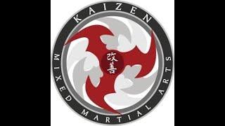 The Kaizen Life Volume 4 Self Defence