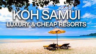 Best Cheap & Luxury Resorts in Koh Samui Thailand | Travel Guide 4k