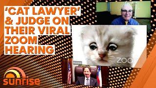 Viral 'cat lawyer' and Texas judge explain feline Zoom fail | 7NEWS