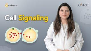 Cell Signaling | Cellular Biology | Medicine Student Lecture | V-Learning™ | sqadia.com