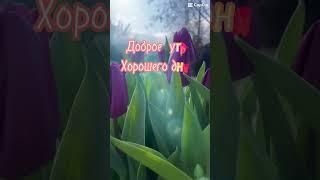 #доброеутро