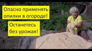 Мульча из опилок. Вред или польза?